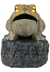 Croaking Toad Light Up Decoration